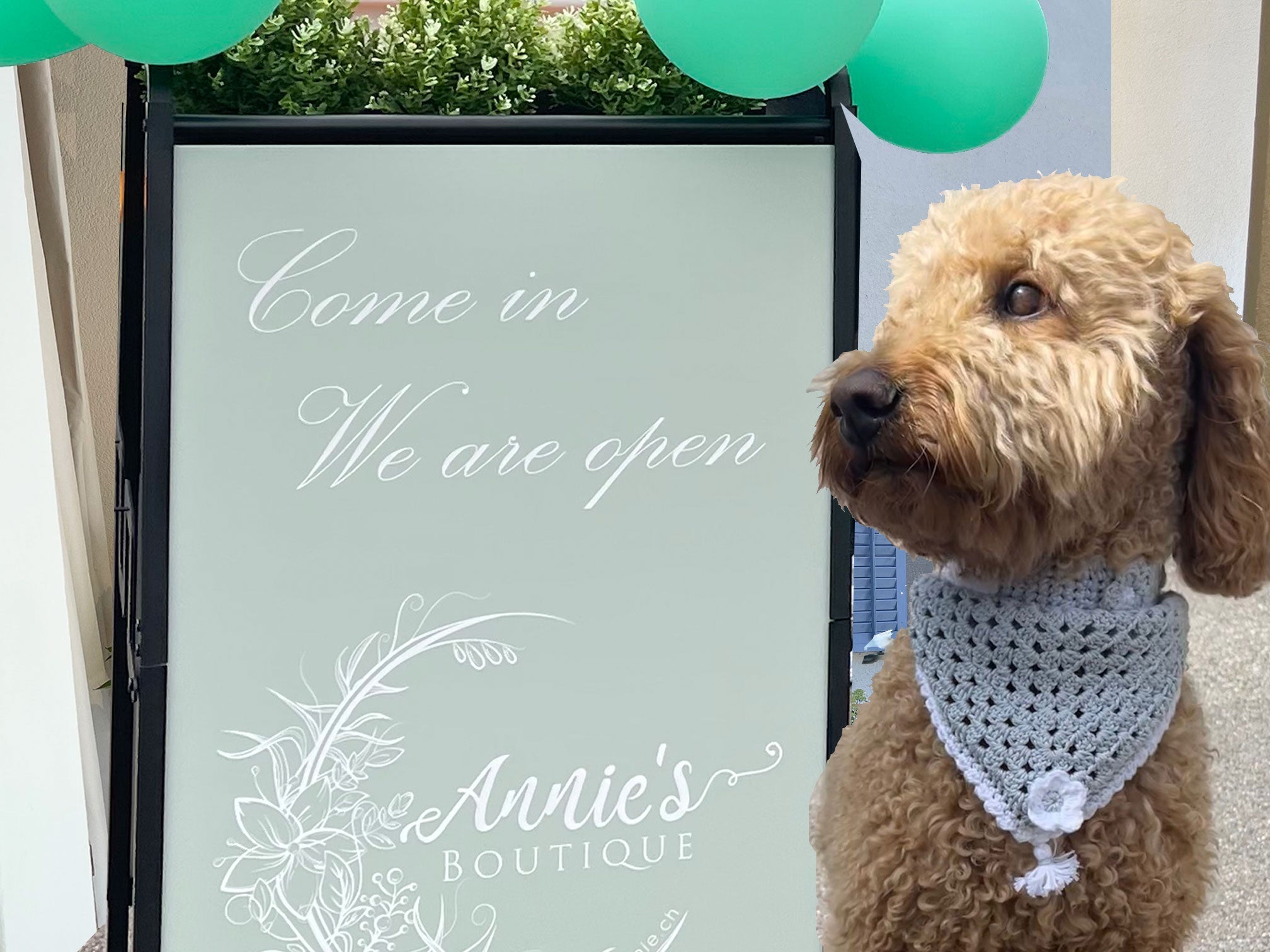 Ein strahlender Eröffnungstag für Annie's Boutique in Wettingen