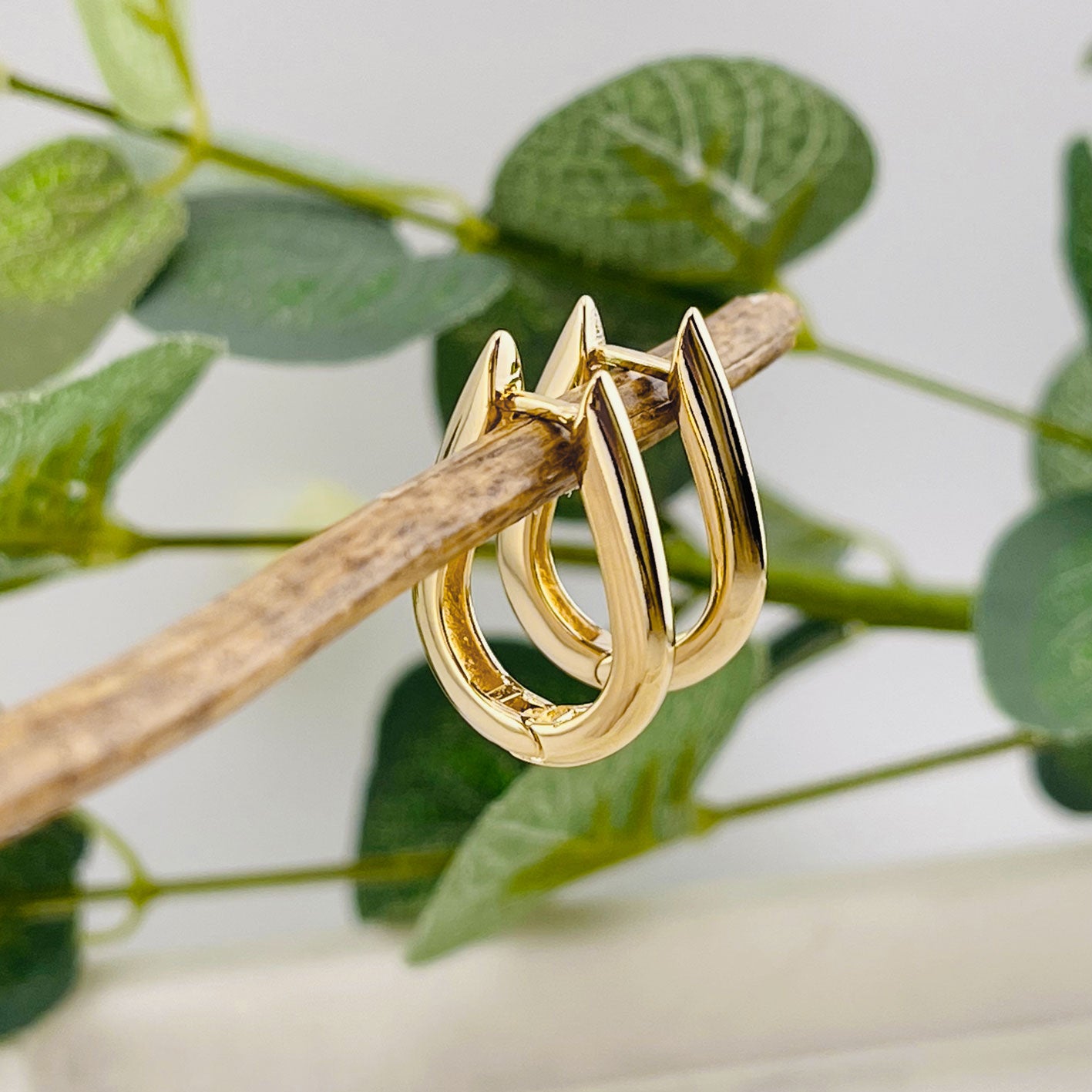 Stylische Goldcreolen in U-Form Odna